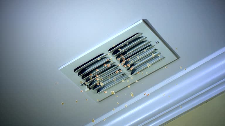 Best Ductwork Cleaning Services  in Pine, AZ