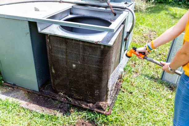 Best Air Duct Sanitizing Services  in Pine, AZ