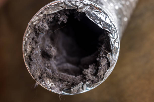 Best Ductwork Cleaning Services  in Pine, AZ