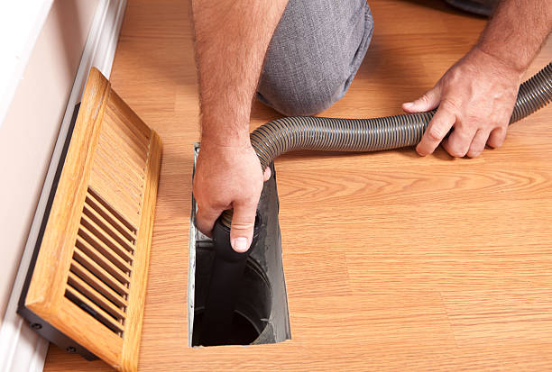 Best Professional Duct Cleaning Services  in Pine, AZ