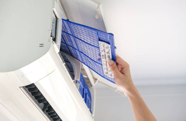 Best Affordable HVAC Duct Cleaning  in Pine, AZ