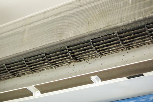 Best Air Duct Cleaning Near Me  in Pine, AZ