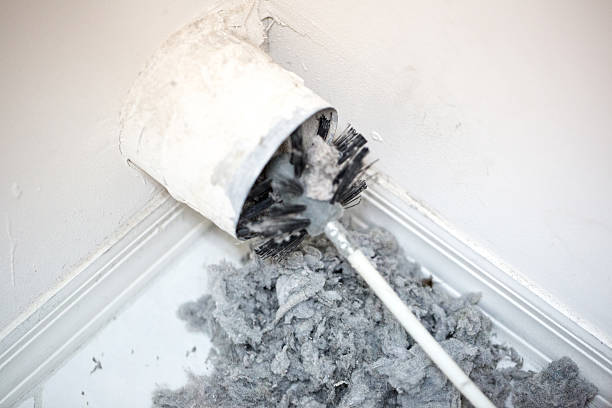 Best Affordable Duct Cleaning Services  in Pine, AZ