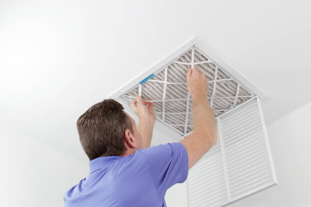 Best Emergency Air Duct Cleaning  in Pine, AZ